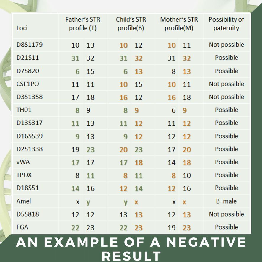 interpretation-of-paternity-test-results-genera-sia