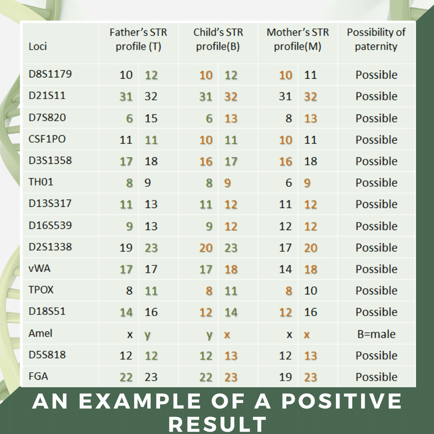 interpretation-of-paternity-test-results-genera-sia