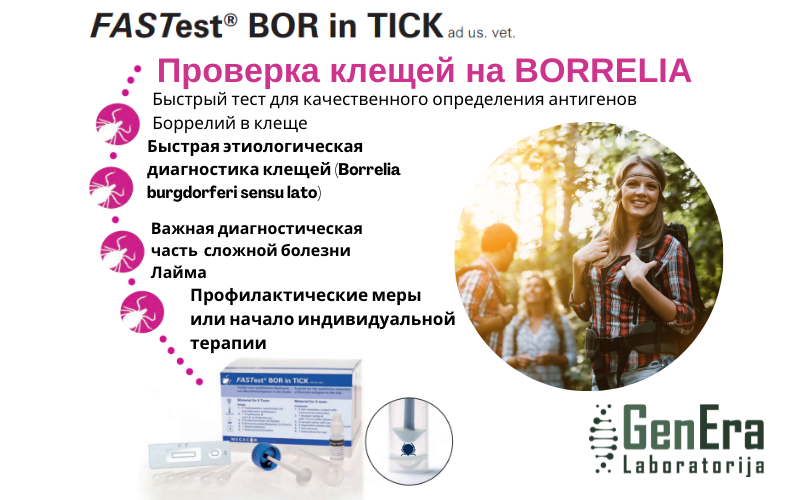 boreliju noteiksana erces
